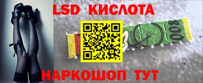 прущие грибы Жуковский