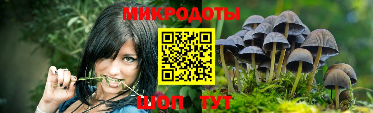 Псилоцибиновые грибы прущие грибы Муравленко